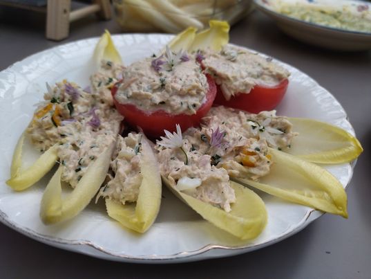 Feuilles de chicons (endives) au thon